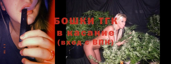 шишки Алексин