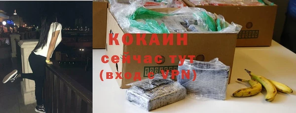 шишки Алексин