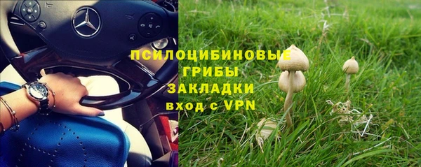 сатива Алзамай