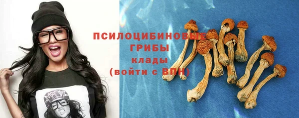 шишки Алексин