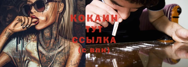 сатива Алзамай
