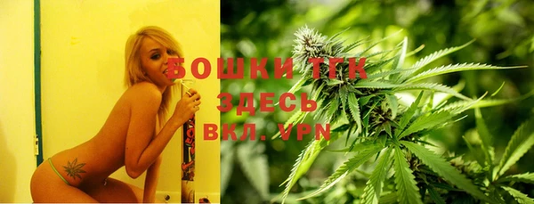 шишки Алексин